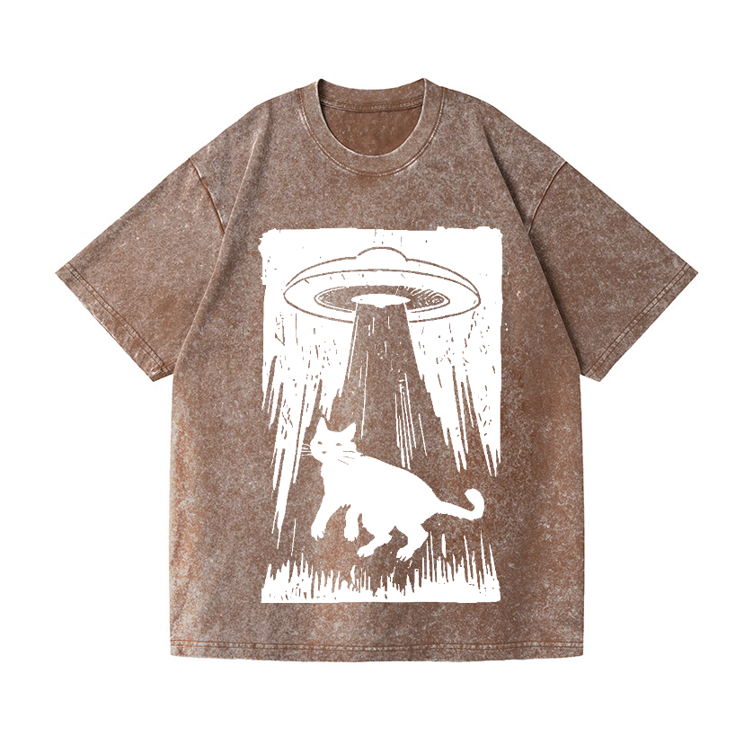 Vintage Wash Japanese Design T-Shirt