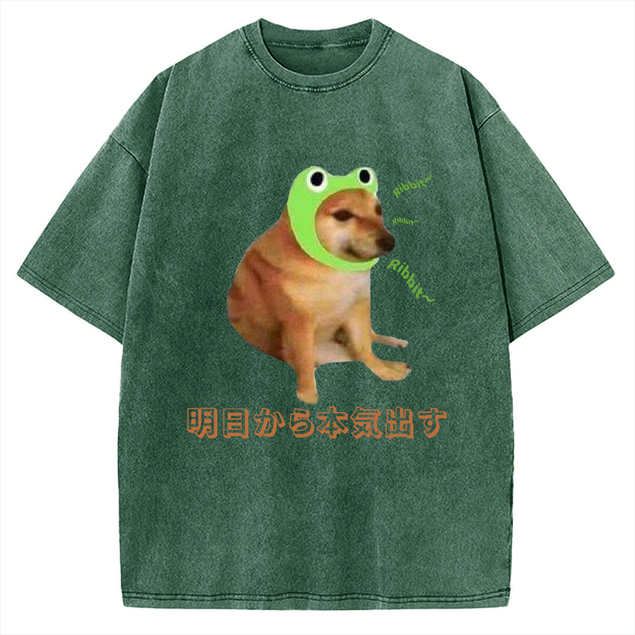 I'll get serious from tomorrow Froggy Cheems Funny Memes Vintage Washed T-shirt