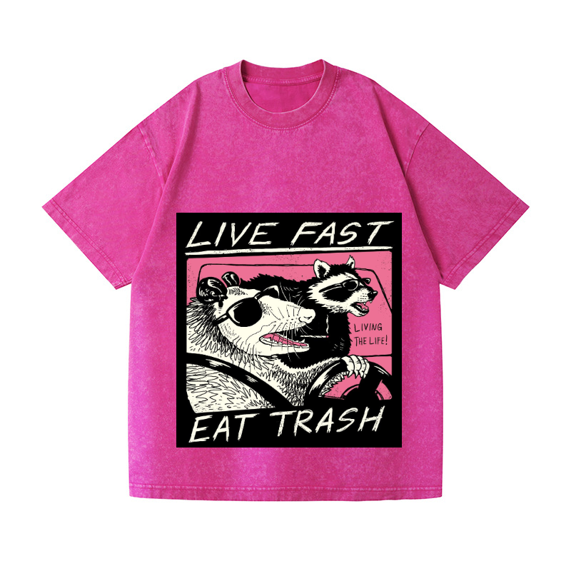 Raccoon Vintage Wash Japanese Design T-Shirt