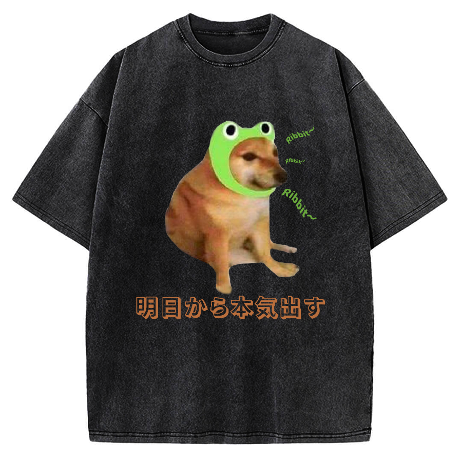 I'll get serious from tomorrow Froggy Cheems Funny Memes Vintage Washed T-shirt