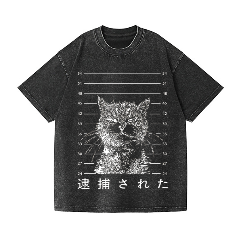 Arrested Cat Vintage Wash Japanese Design T-Shirt