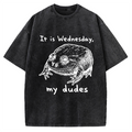 Wensday Frog Vintage Washed T-shirt