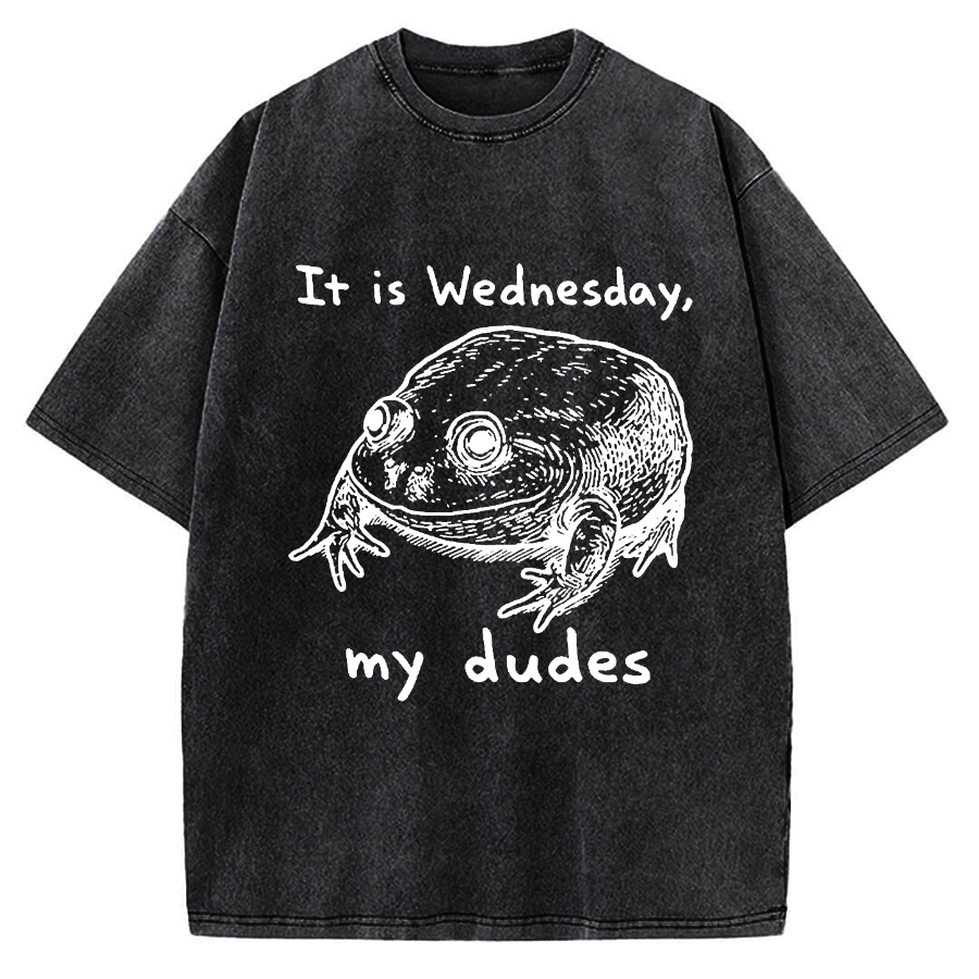 Wensday Frog Vintage Washed T-shirt