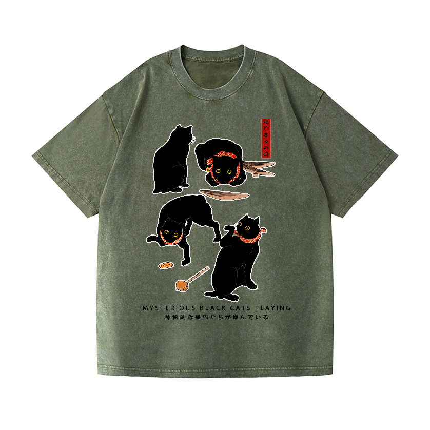 Black Cat Vintage Wash Japanese Design T-Shirt