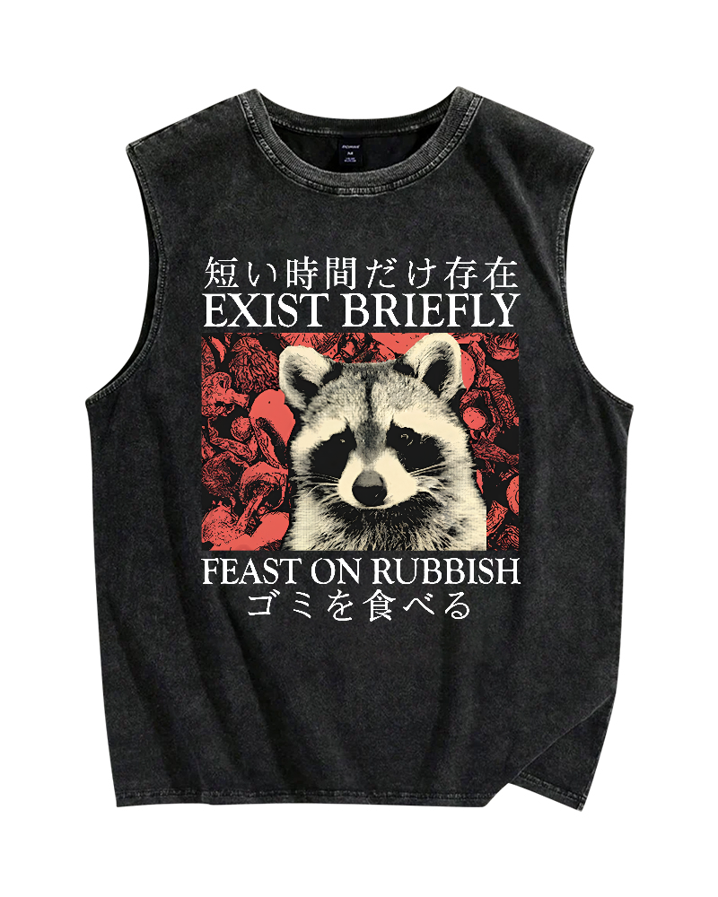Japanese Style Red Panda Vintage Distressed Washed Tank Top