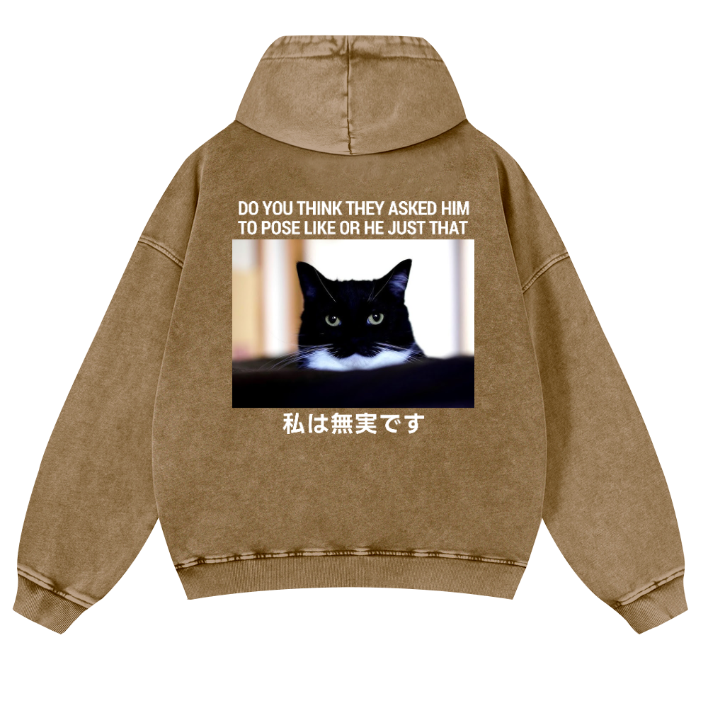 Cat Vintage Washed Cotton Back Art Hoodie