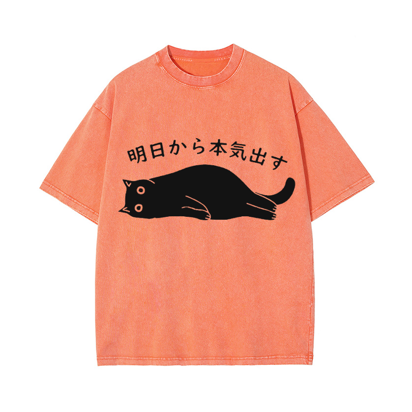 Black Cat Get Serious from Tomorrow Onwards Vintage Wash Japanese Design T-Shirt