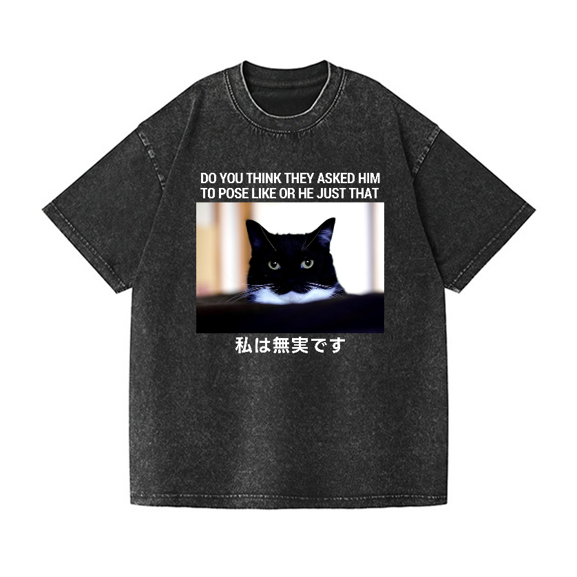 Cat Vintage Wash Japanese Design T-Shirt