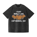 Capybara Vintage Wash Japanese Design T-Shirt