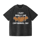 Capybara Vintage Wash Japanese Design T-Shirt