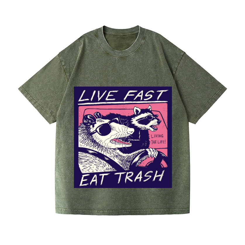 Raccoon Vintage Wash Japanese Design T-Shirt