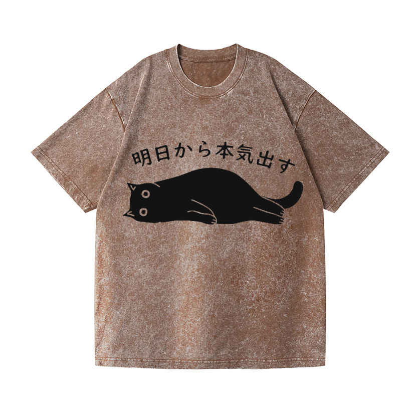 Black Cat Get Serious from Tomorrow Onwards Vintage Wash Japanese Design T-Shirt