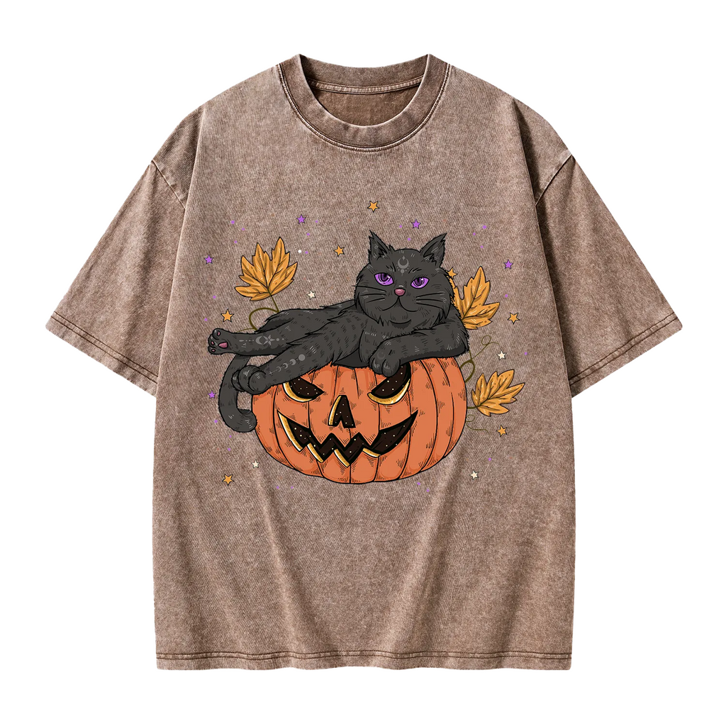 Pumpkin Throne of the Witch Cat Washed T-Shirt