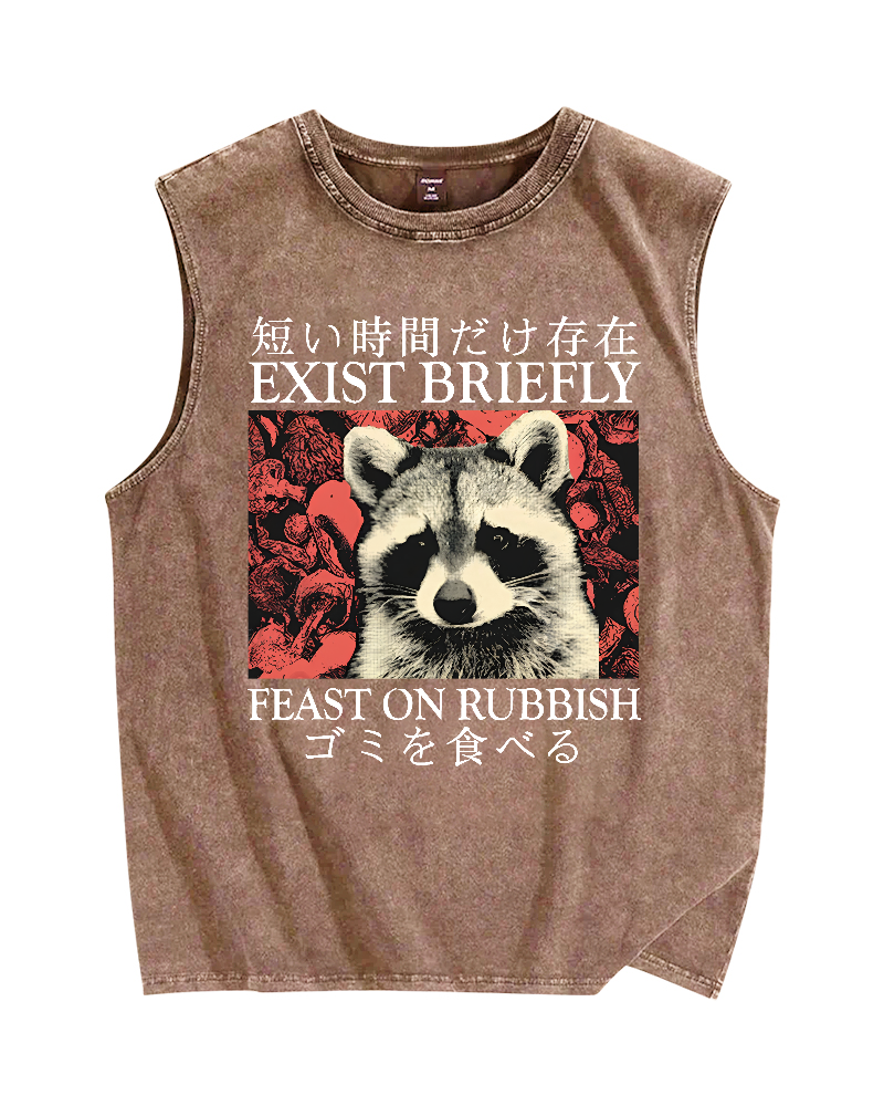Japanese Style Red Panda Vintage Distressed Washed Tank Top