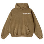 Stay Classy Bird Vintage Washed Cotton Back Art Hoodie