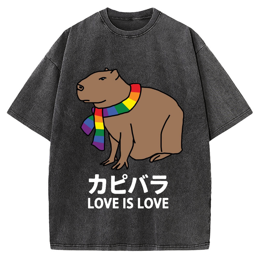 Capybara With Love Vintage Washed T-shirt