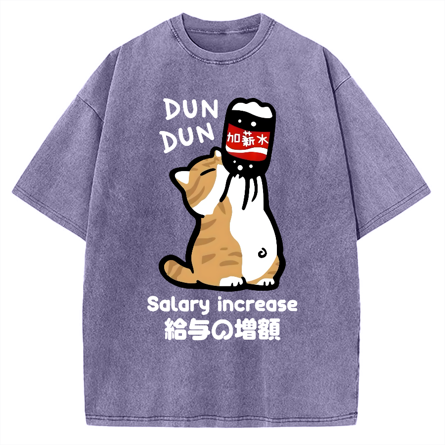 Salary Increase Vintage Washed T-shirt