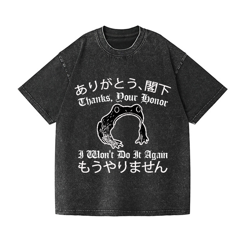 I won't do it again Frog Vintage Wash Japanese Design T-Shirt
