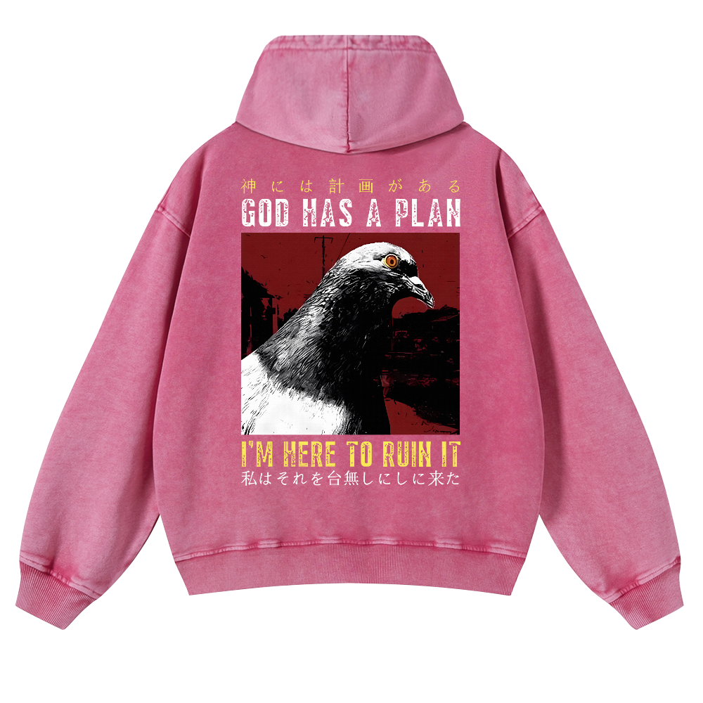Pigeon Vintage Washed Cotton Back Art Hoodie