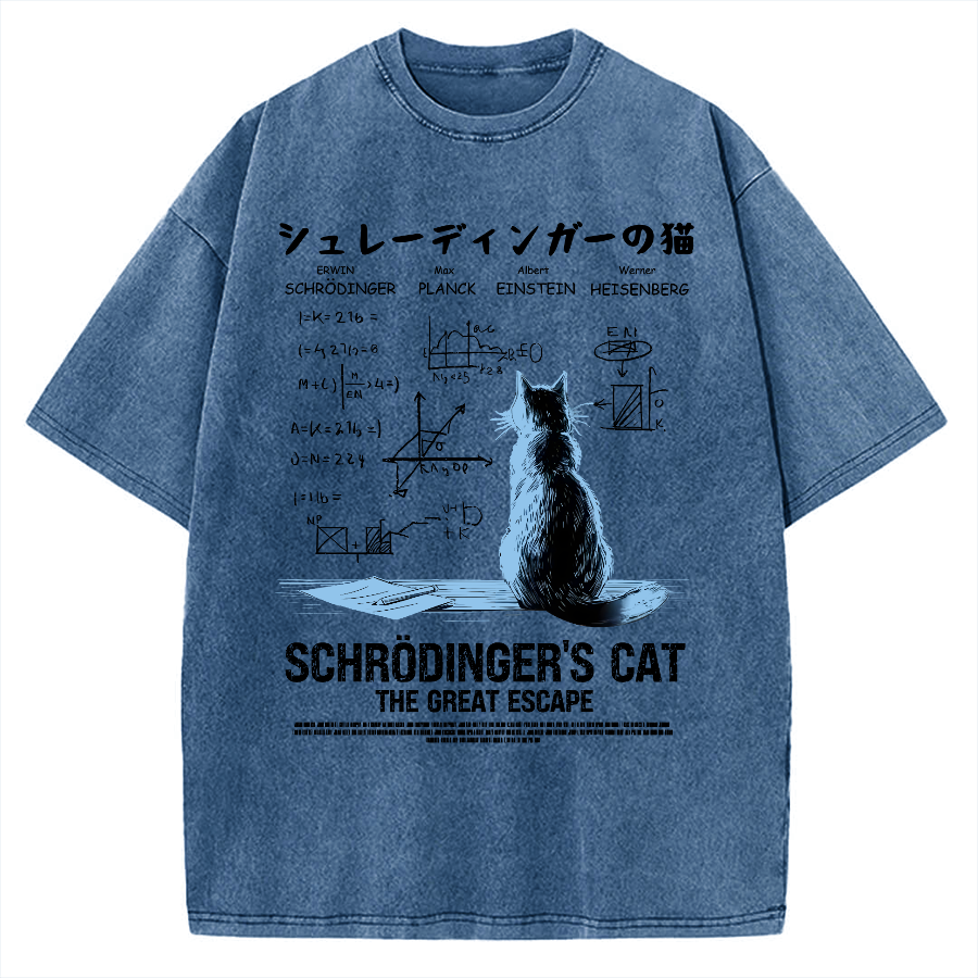 Schrodinger's cat escape plan Vintage Washed T-shirt
