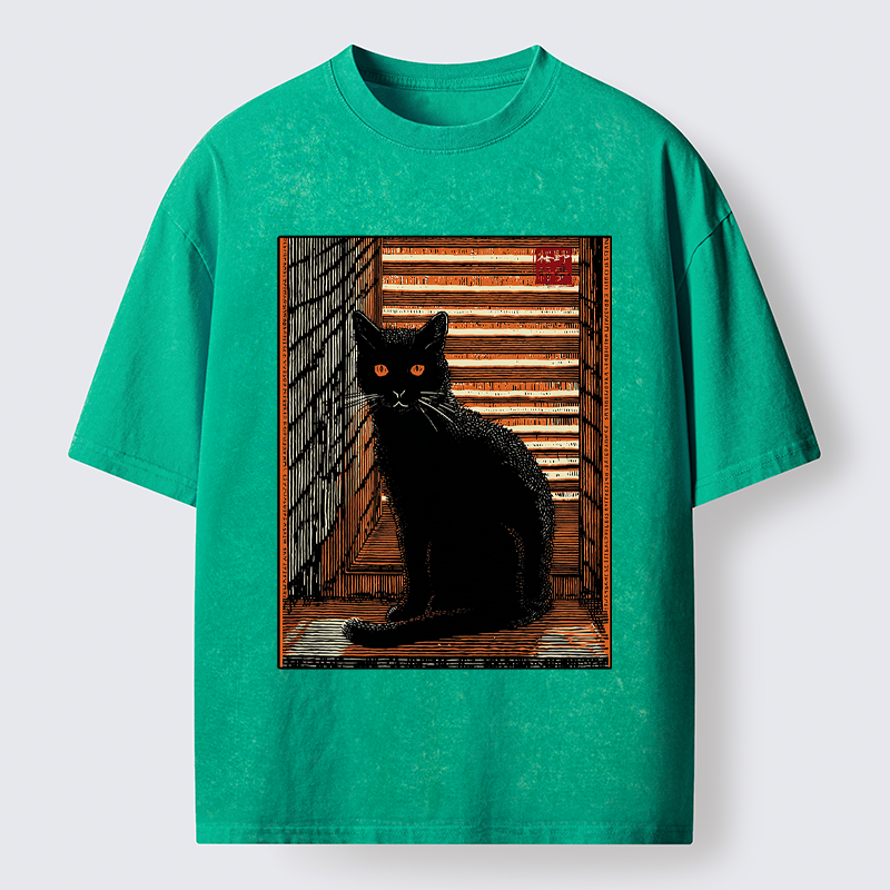 Unisex Guardian of the Steps Washed T-Shirt