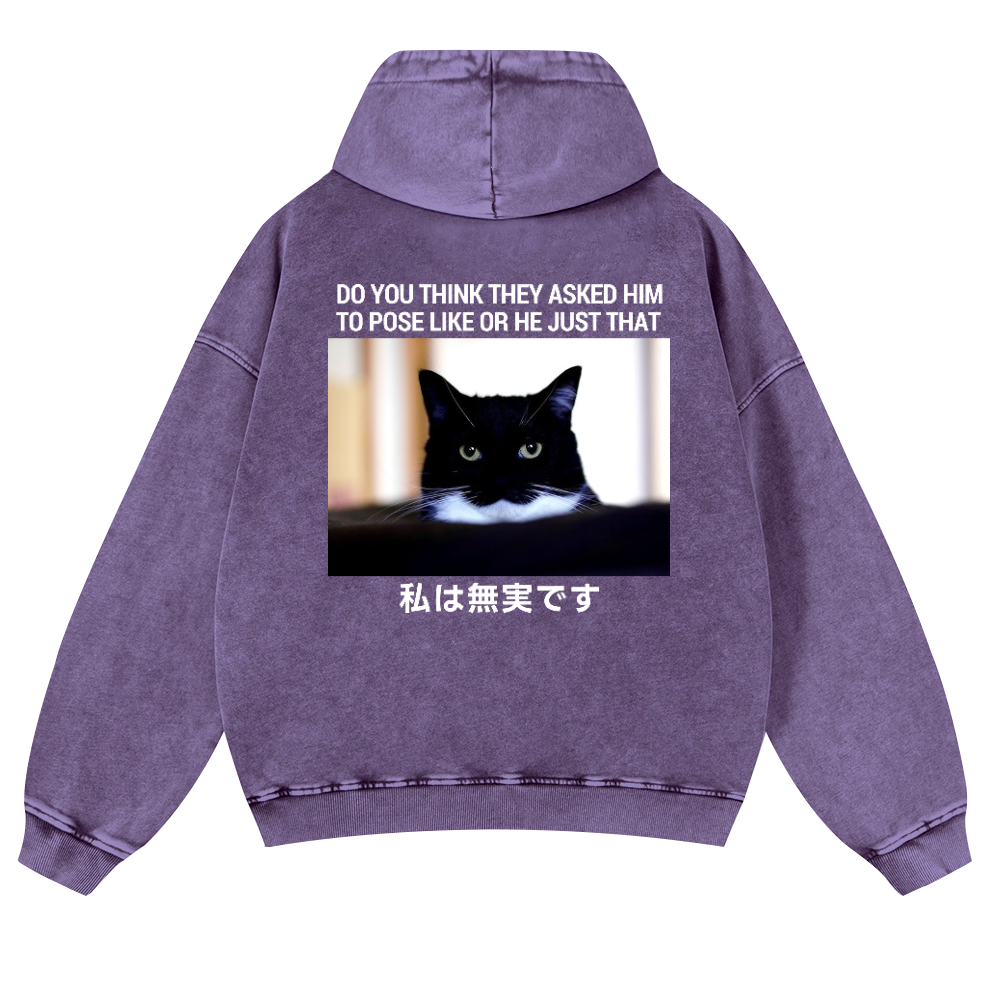 Cat Vintage Washed Cotton Back Art Hoodie