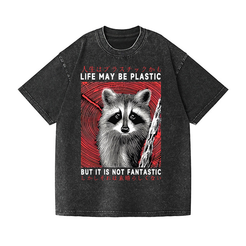 Raccoon Vintage Wash Japanese Design T-Shirt