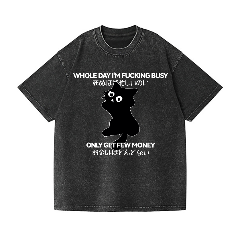 Cat Vintage Wash Japanese Design T-Shirt