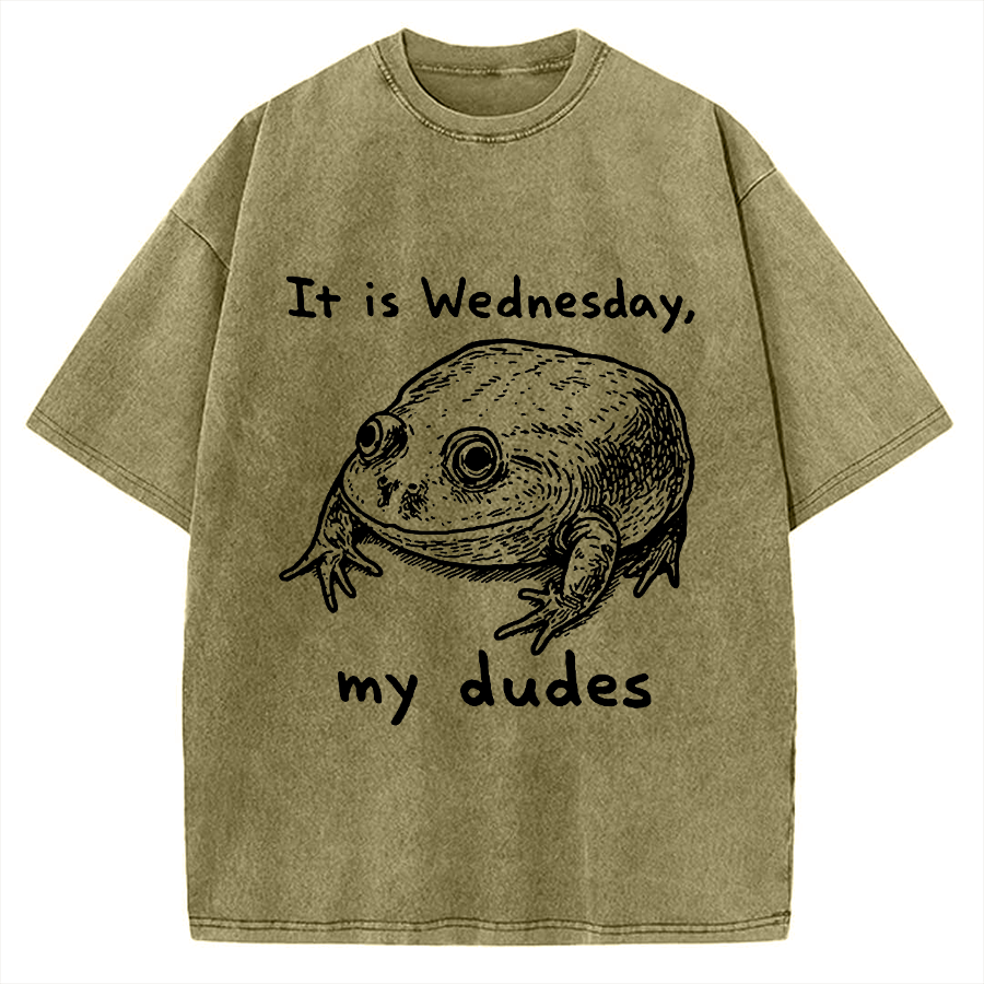 Wensday Frog Vintage Washed T-shirt