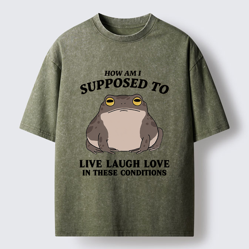 Unisex Frog Life Crisis Washed T-Shirt