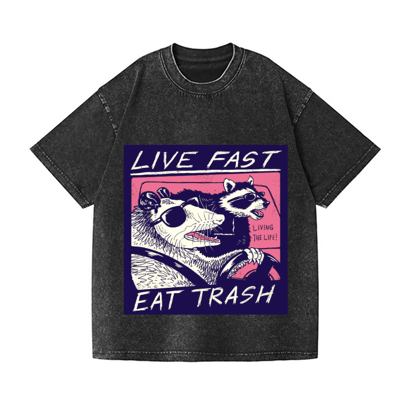 Raccoon Vintage Wash Japanese Design T-Shirt