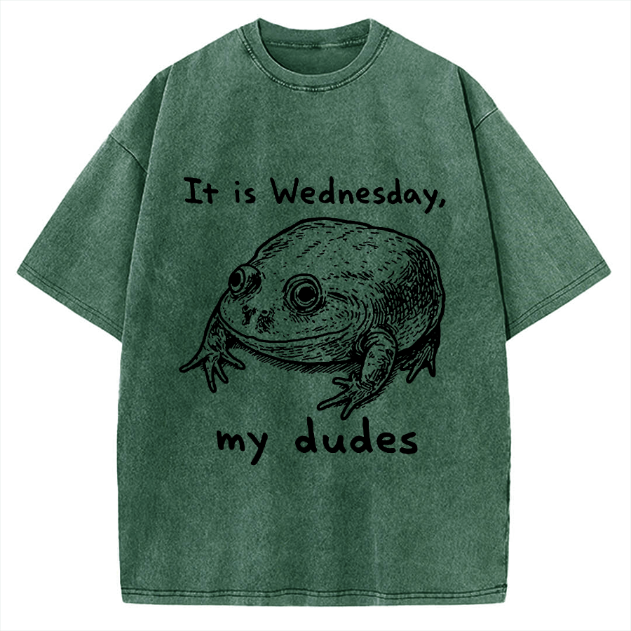 Wensday Frog Vintage Washed T-shirt