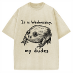Wensday Frog Vintage Washed T-shirt
