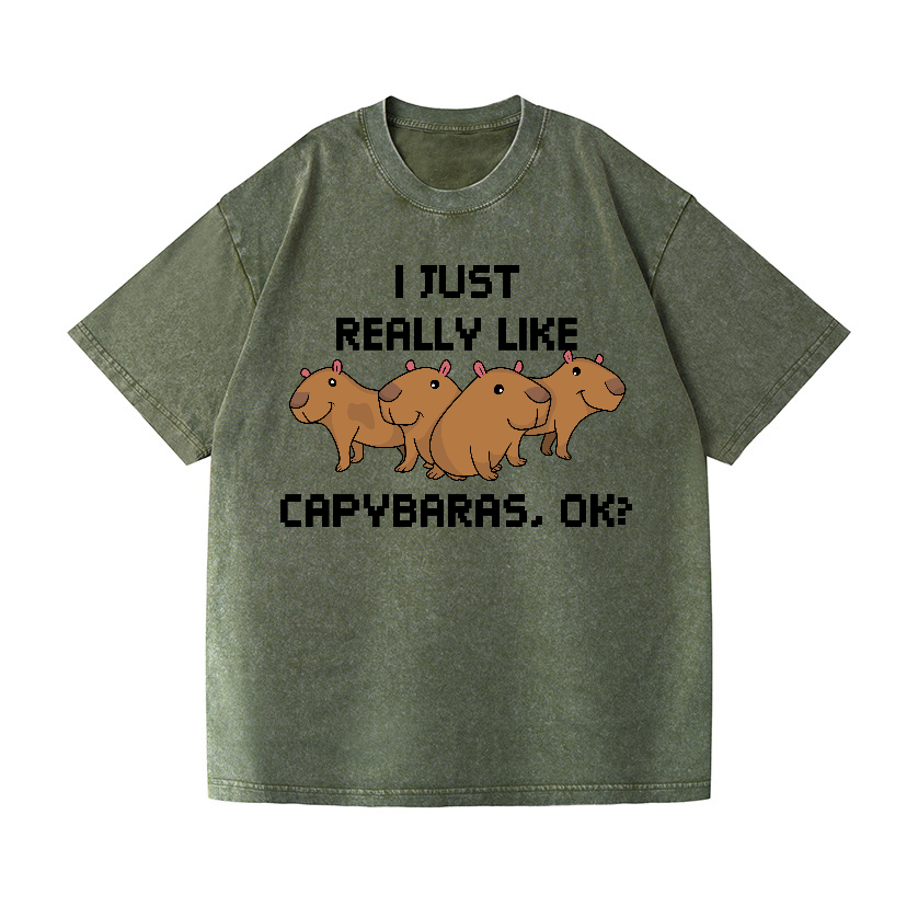 Capybara Vintage Wash Japanese Design T-Shirt