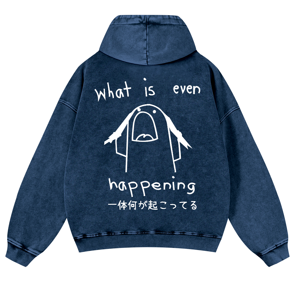 What Is Even Happening Vintage Washed Cotton Back Art Hoodie