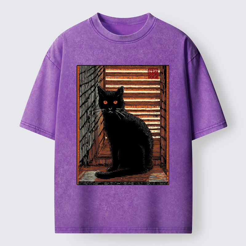 Unisex Guardian of the Steps Washed T-Shirt